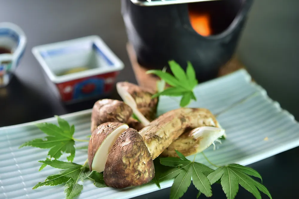 秋の山里の恵み・松茸